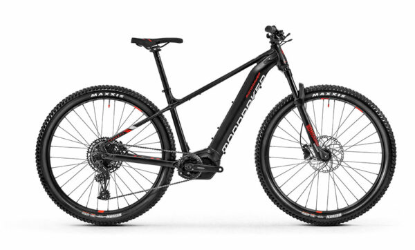 Thundra R 2020 (taille L)